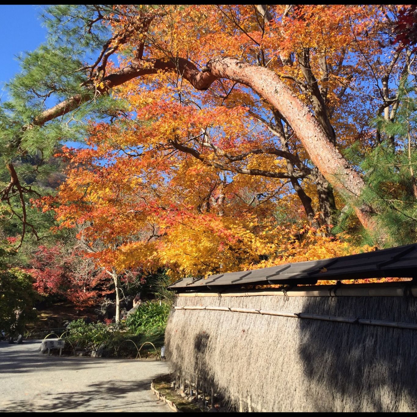 15-12-7hogon-in06_1366