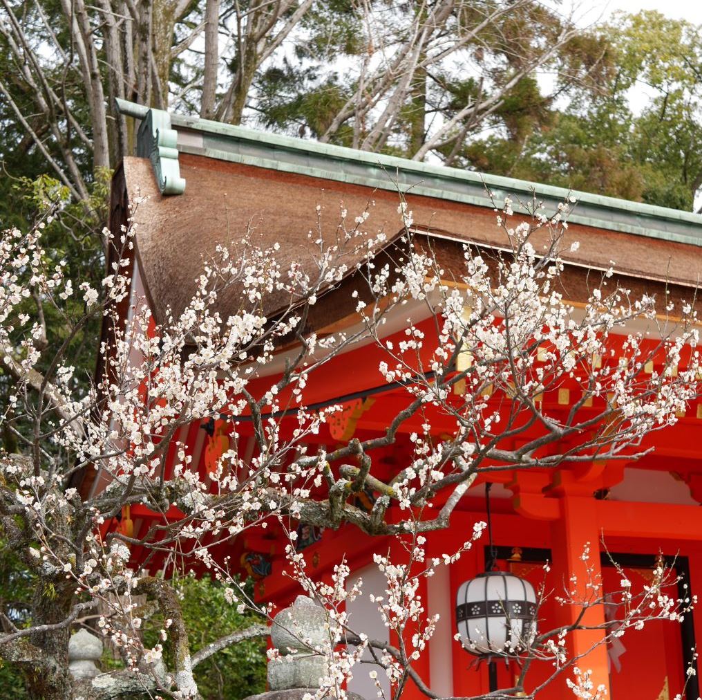 16-2-17kitano11_1366