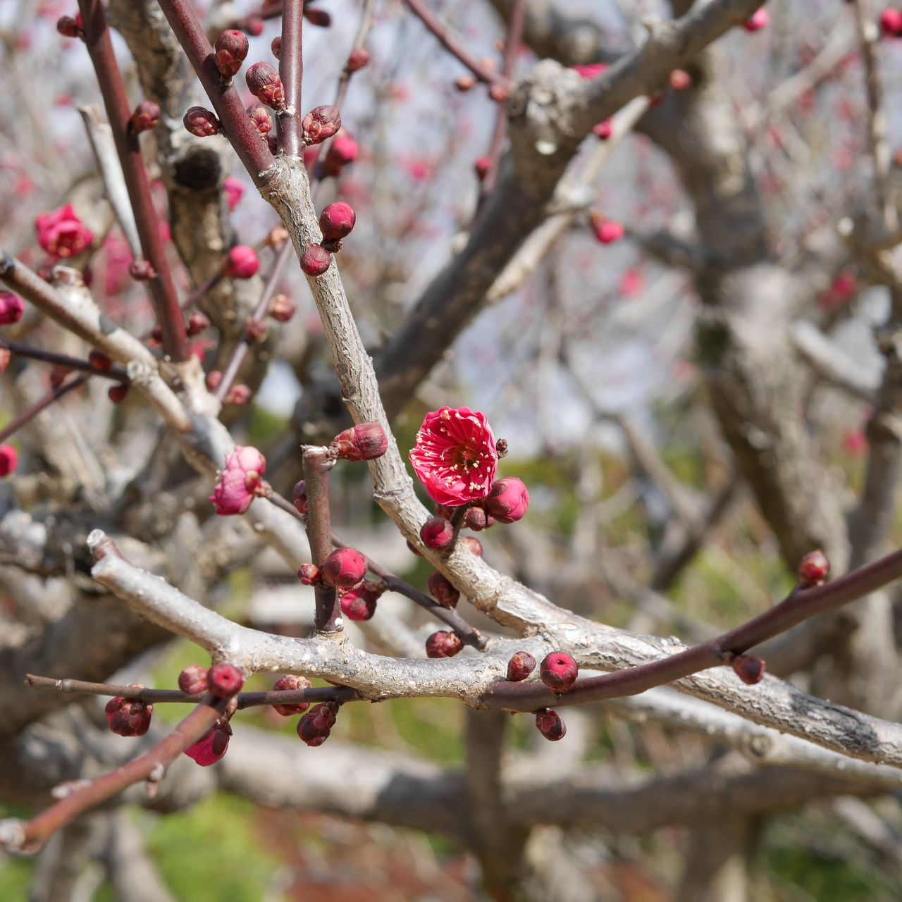 16-2-7jonangu28_1280