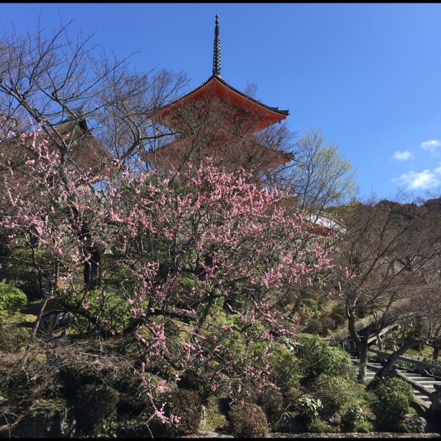 16-3-21kiyomizu03_640