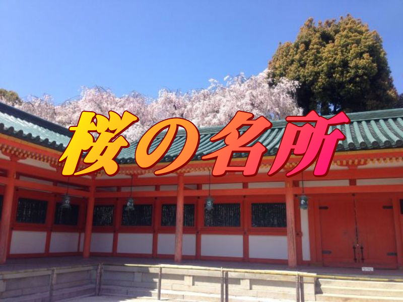 平安神宮の紅枝垂れ桜